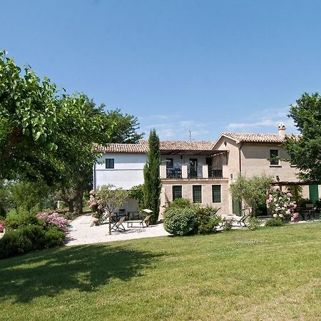 Vigna Sant' Amico Country House 莫罗达尔巴 外观 照片