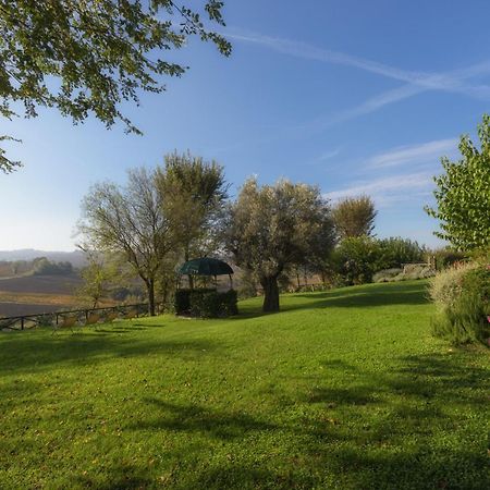 Vigna Sant' Amico Country House 莫罗达尔巴 外观 照片