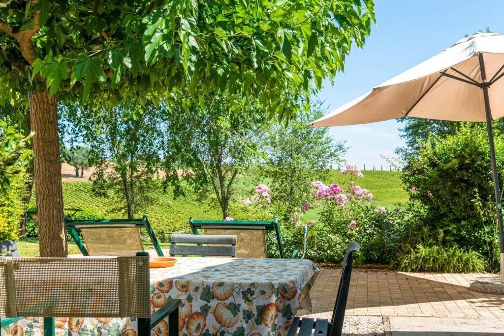 Vigna Sant' Amico Country House 莫罗达尔巴 外观 照片