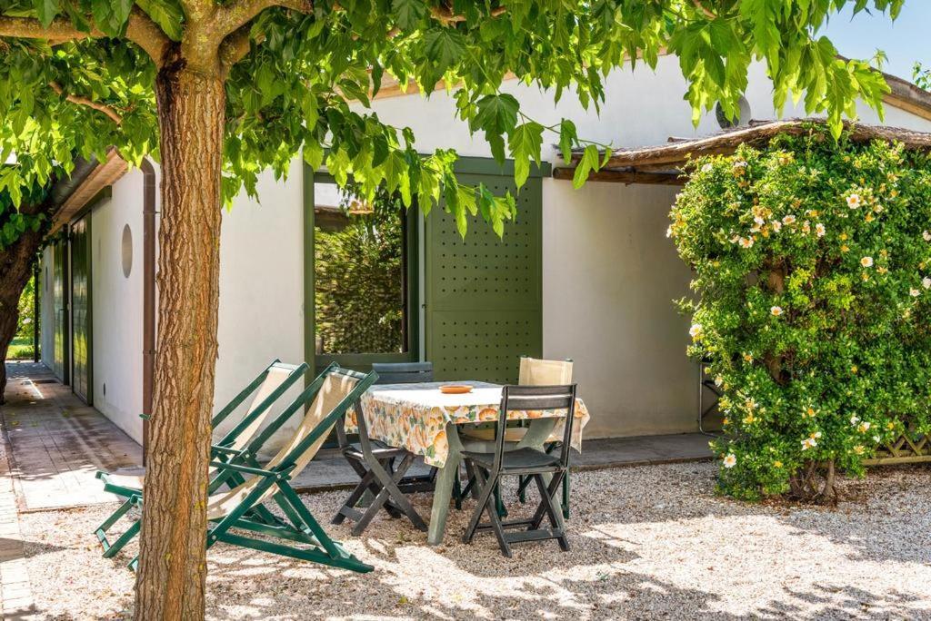 Vigna Sant' Amico Country House 莫罗达尔巴 外观 照片
