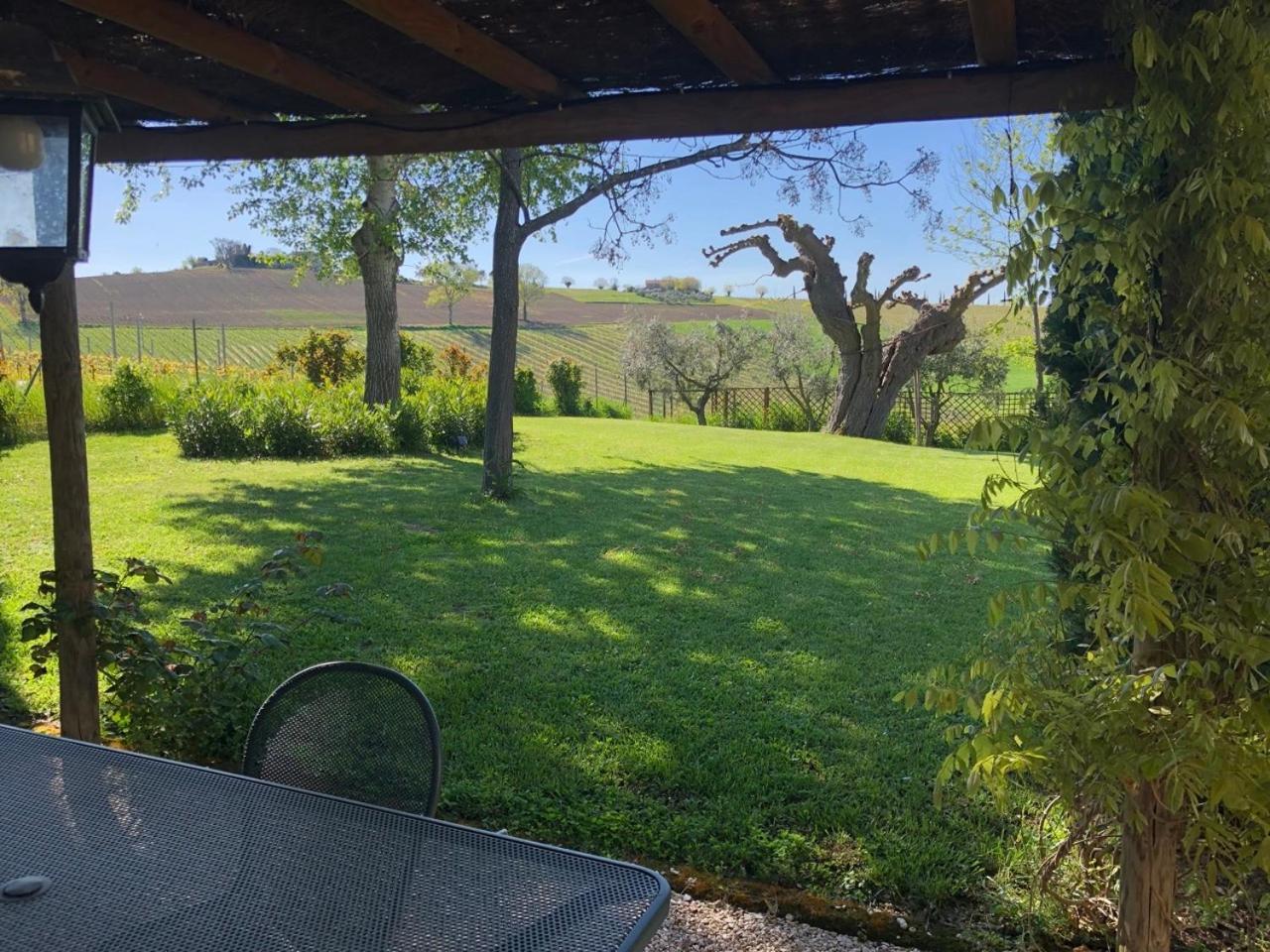 Vigna Sant' Amico Country House 莫罗达尔巴 外观 照片