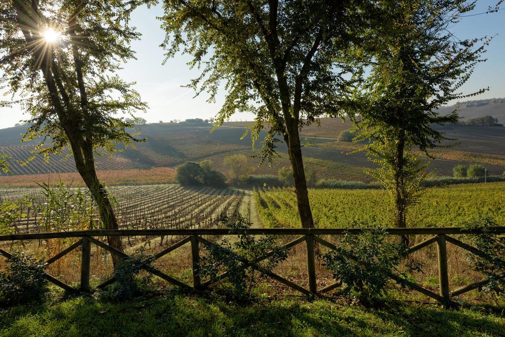 Vigna Sant' Amico Country House 莫罗达尔巴 外观 照片