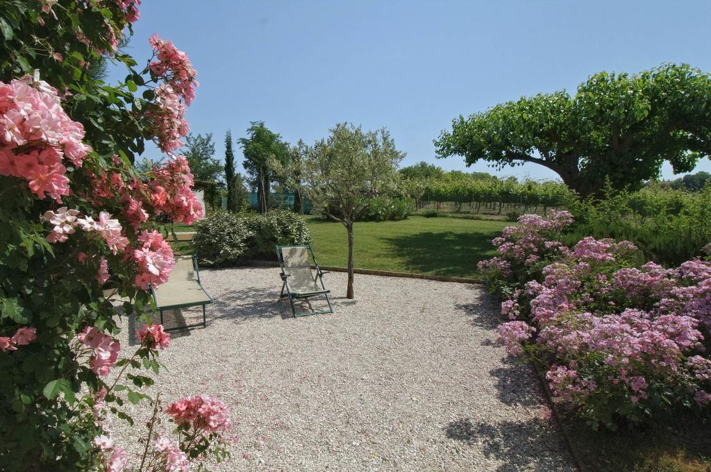Vigna Sant' Amico Country House 莫罗达尔巴 外观 照片