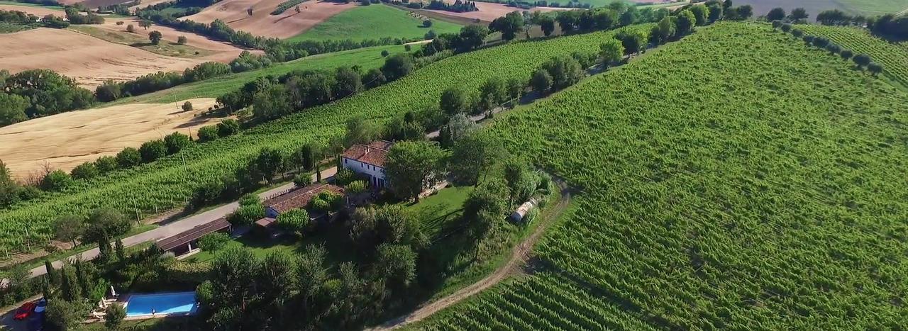 Vigna Sant' Amico Country House 莫罗达尔巴 外观 照片